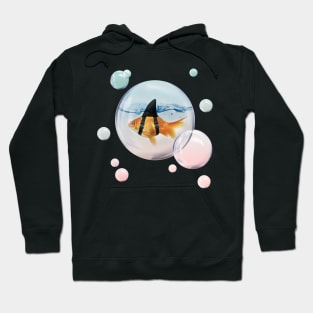 Goldfish with a Shark Fin - Brilliant Disguise Hoodie